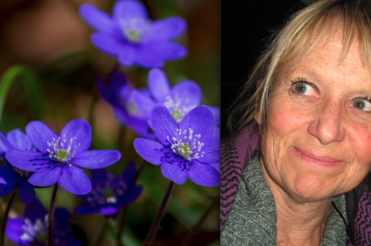 Bilde av Bente Møller og blå blomster